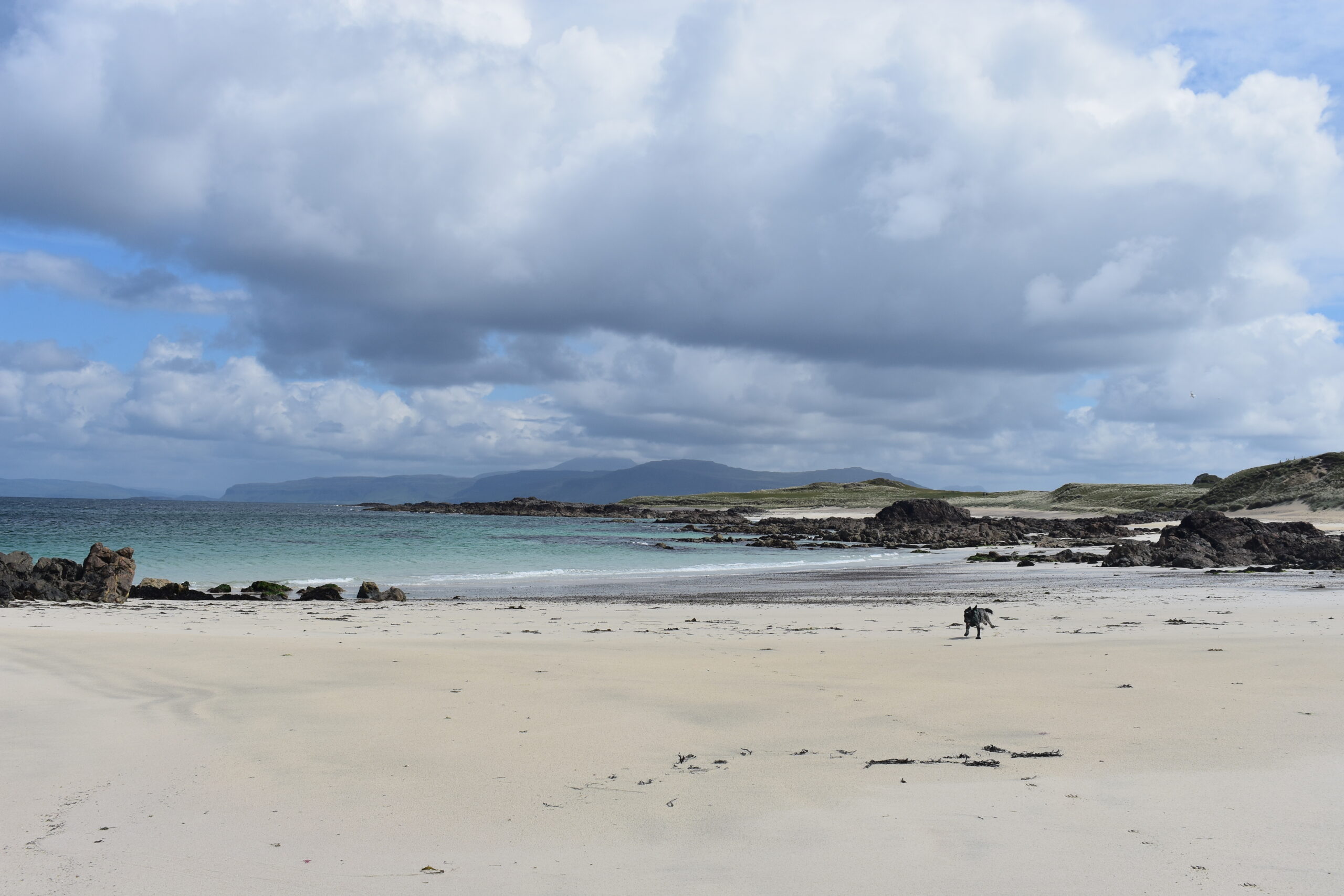 A Week on the Isle of Mull, Part Two - Paws Explore North