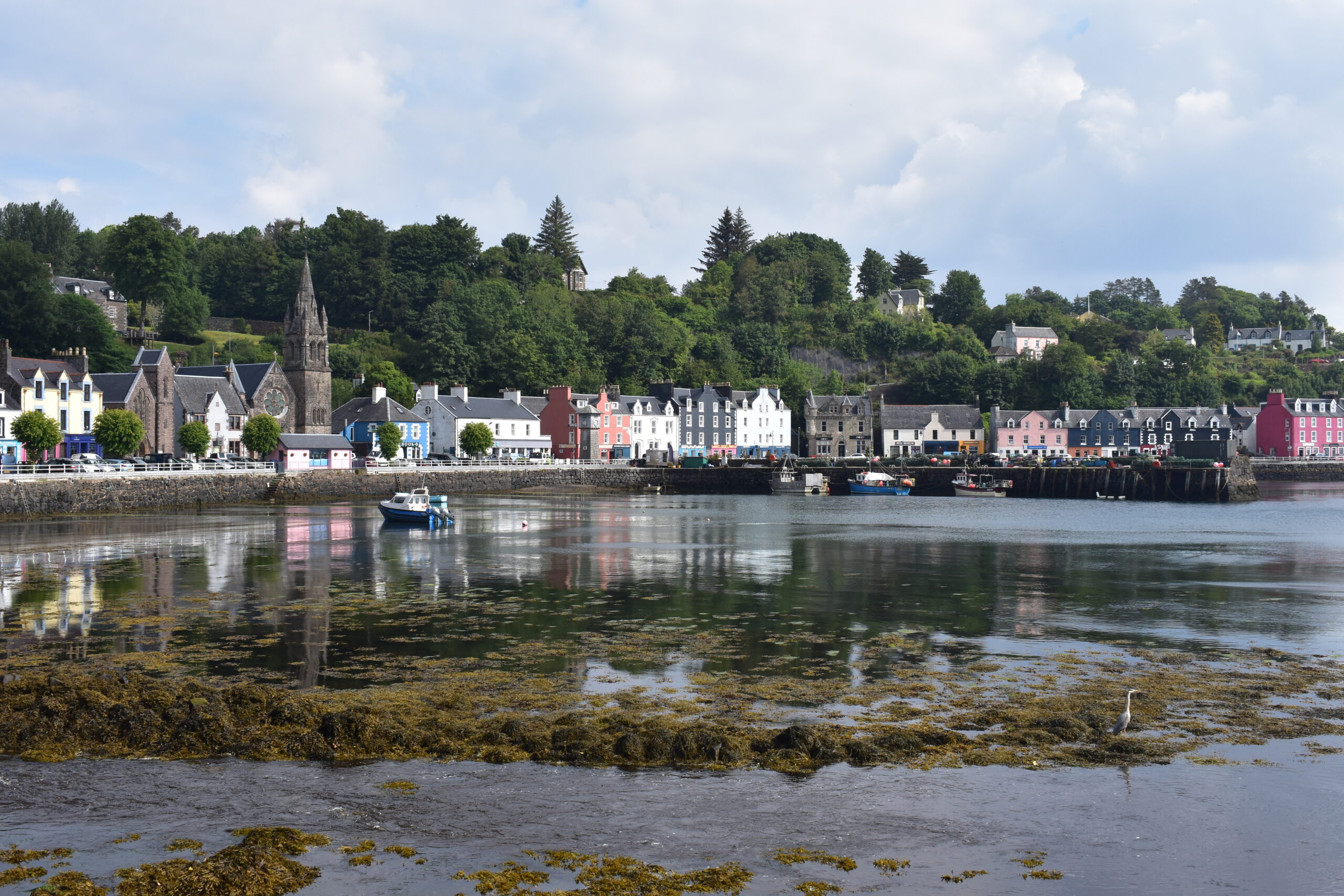 A Week on the Isle of Mull, Part One - Paws Explore North