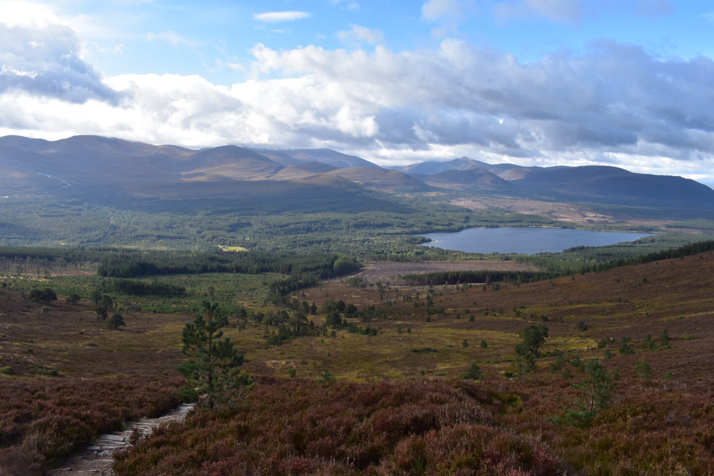 Back to the Cairngorms (Again)